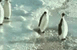 Funny animation
